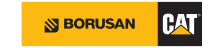 borusancat